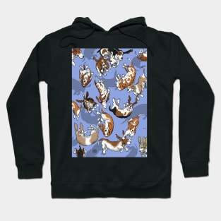 Raining Basset Hounds Hoodie